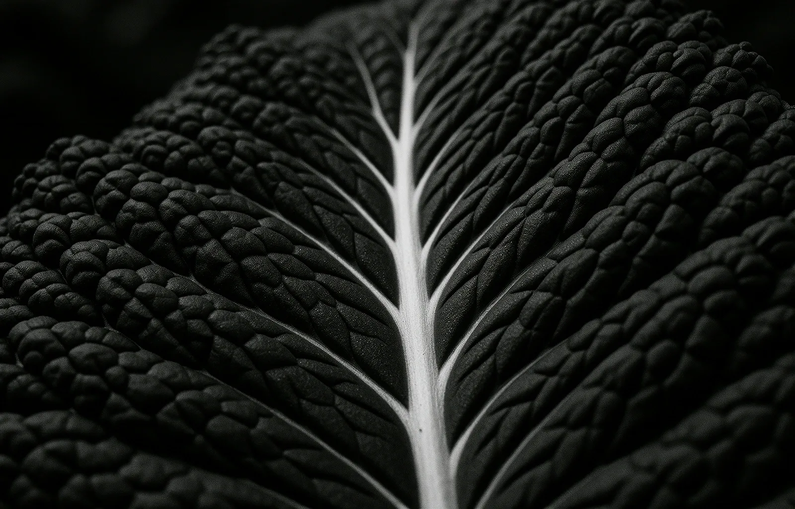 Detailed botanical structure